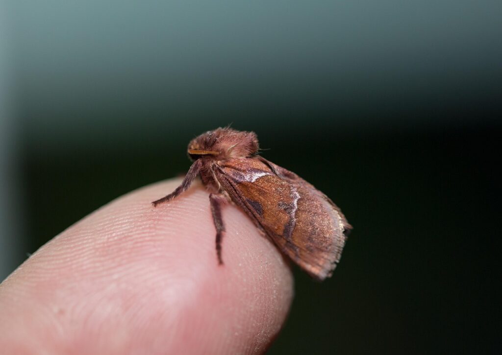 韓ドラを楽しむ一人暮らしの夜更かしにおすすめの作品は？