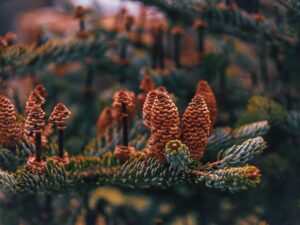 韓ドラの口コミを参考にした無料体験のおすすめは？