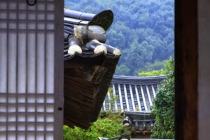 韓ドラの独占配信を無料期間中に楽しむ方法は？