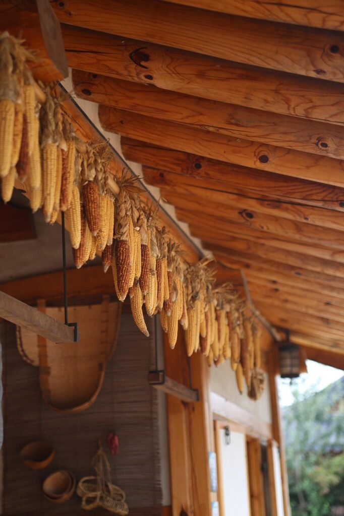 韓ドラをDMM TVで楽しむための無料体験の方法は？