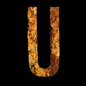 韓ドラを楽しむならU-NEXTの作品数はどれくらい？