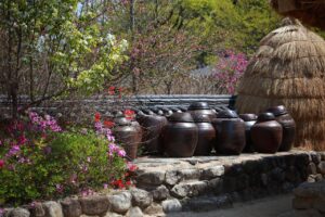 韓ドラの動画配信でおすすめのサービスは？