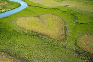 韓ドラで心が整うおすすめのドラマは？