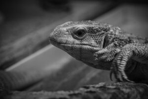 韓ドラで情緒安定をもたらすおすすめ作品は？