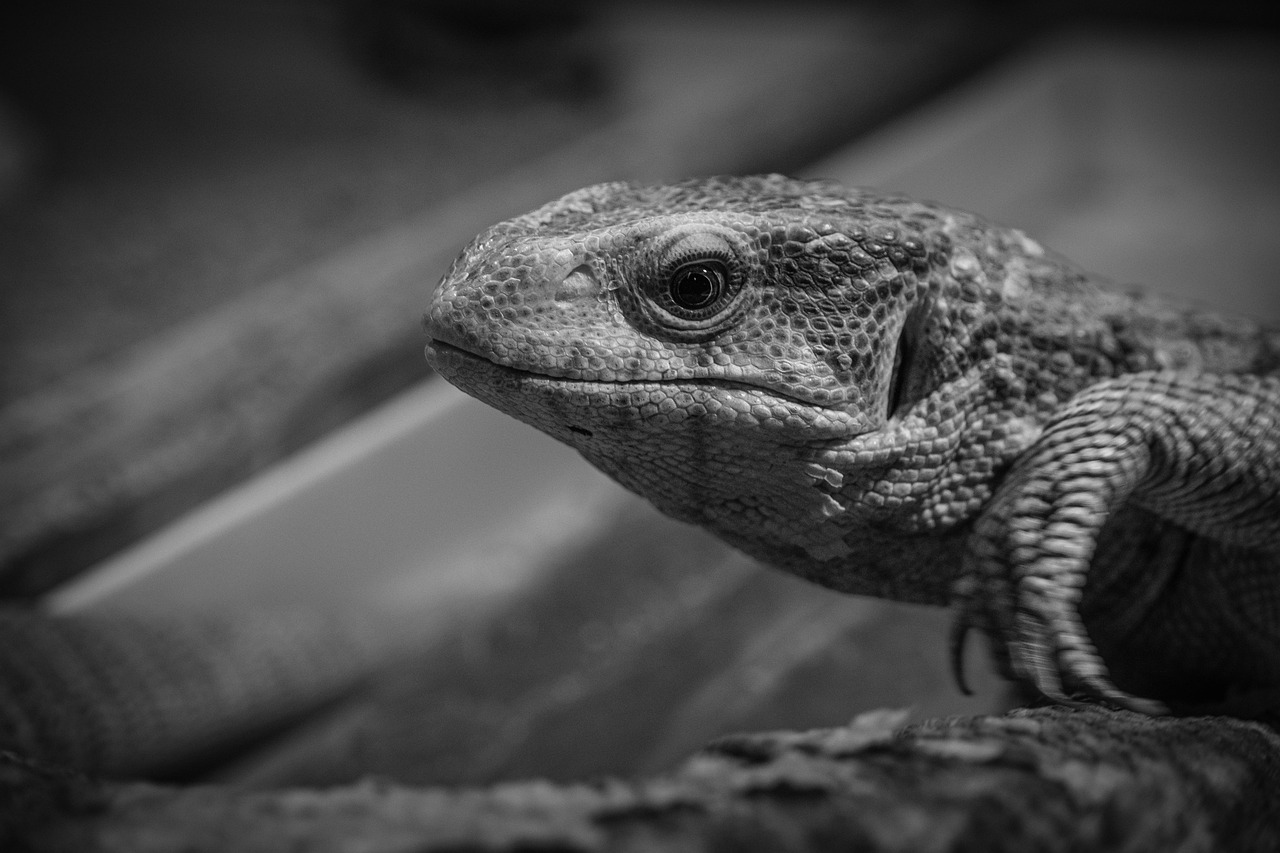 韓ドラで情緒安定をもたらすおすすめ作品は？