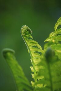 韓ドラのファッションで見どころが多い作品は？