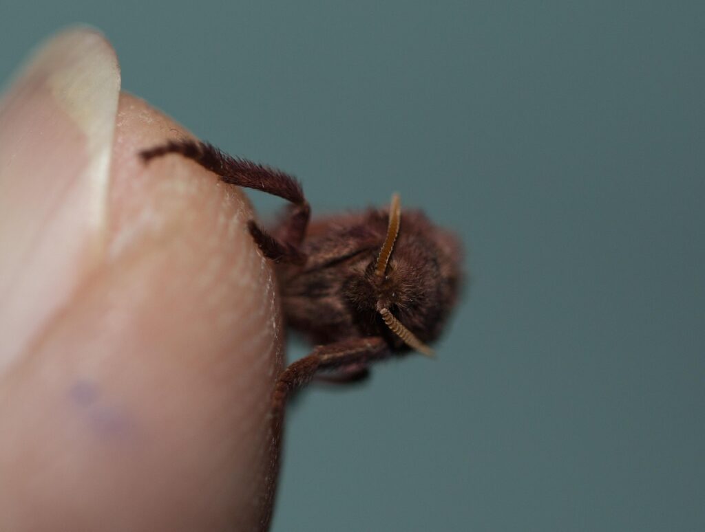 韓ドラを楽しむ夜更かしの罪悪感を少なくする方法は？