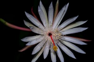 韓ドラの月曜夜におすすめの助けになる作品は？