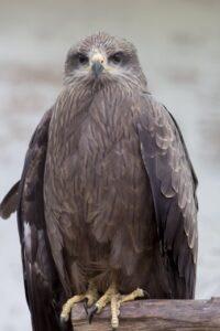 韓ドラを楽しむための夜更かしのコツはしすぎない？