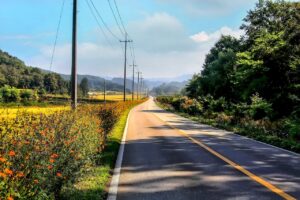 楽天TVで韓国ドラマの無料トライアルはあるか？