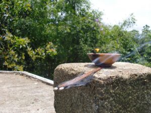 Fire TV Stickで韓国ドラマの音声切替ができない理由と解決方法は？