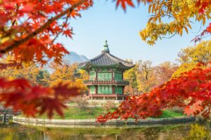 ノイズキャンセリングイヤホンと韓国ドラマの相性を良くする設定は？